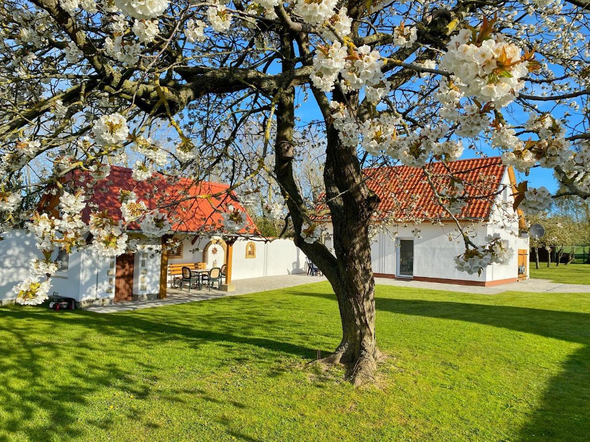 Ferienhaus Berta ساسنيتز المظهر الخارجي الصورة