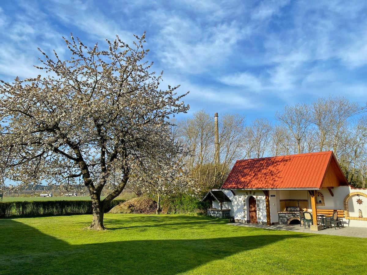 Ferienhaus Berta ساسنيتز المظهر الخارجي الصورة