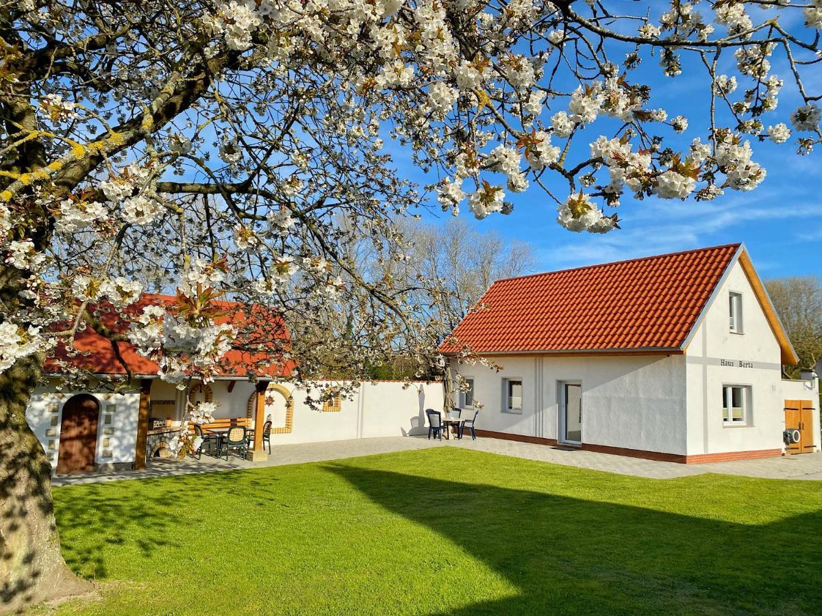 Ferienhaus Berta ساسنيتز المظهر الخارجي الصورة